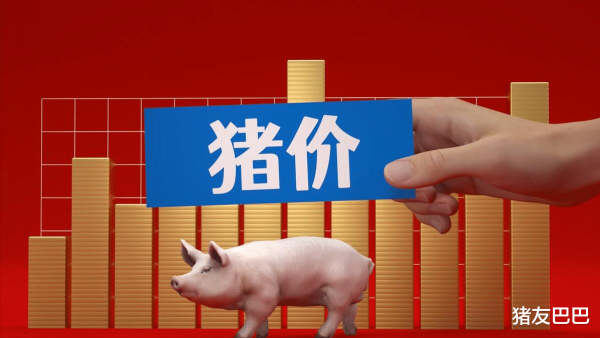 配资平台查询网站 涨跌“停滞”, 猪价陷入“泥潭”! 附: 2025年5月7日猪价