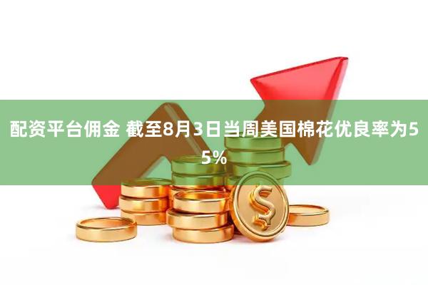 配资平台佣金 截至8月3日当周美国棉花优良率为55%